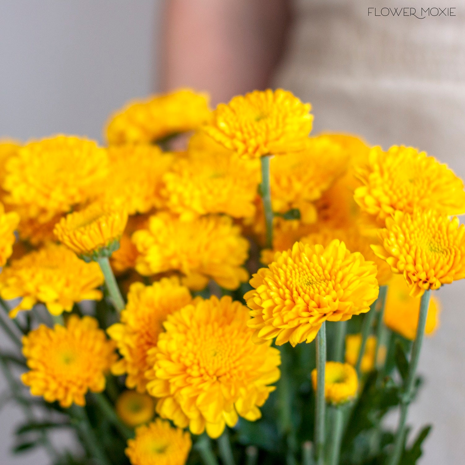 Yellow Button Pom Flower, DIY Wedding Flowers